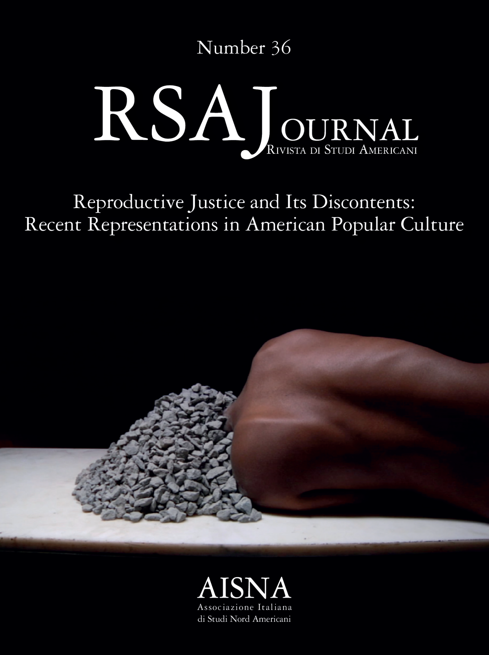 					View Vol. 36 (2025): Reproductive Justice and Its Discontents: Recent Representations in American Popular Culture
				